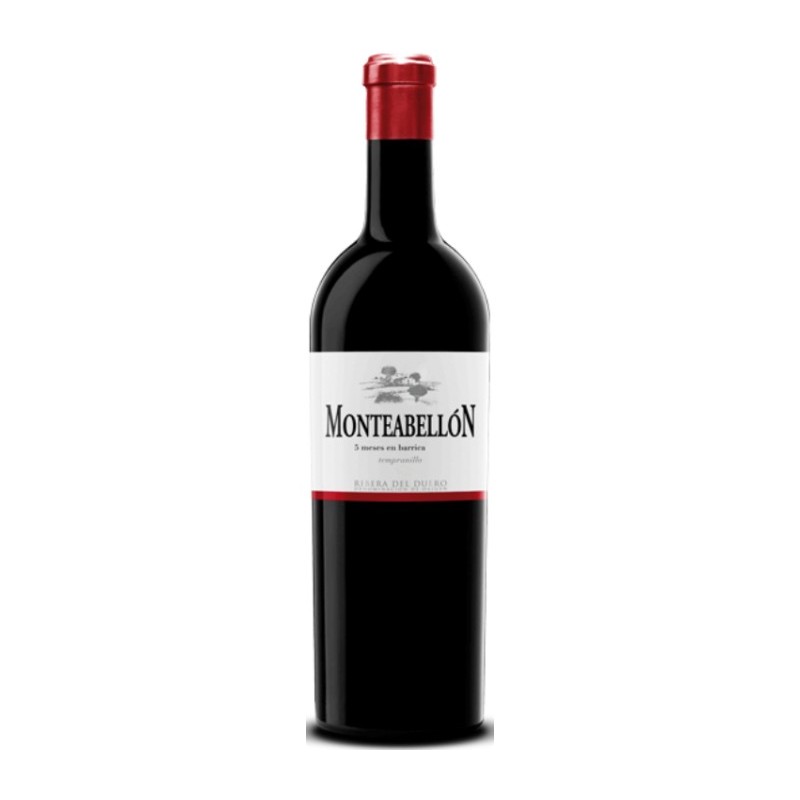 Ribera del Duero Monteabellón 5 meses 2021