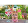 IBZ Pink Strawberry Gin Mari Mayans 70cl